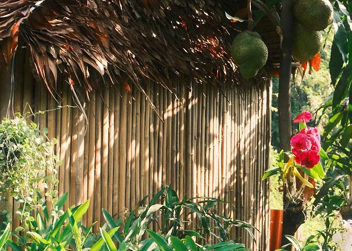 Madam Sokha Homesteading Siem Reap